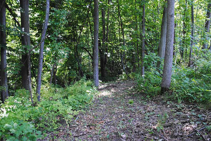 Nature Trail at StoneBrook Towndomes and Cottages